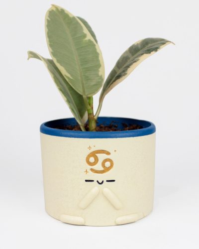 Maceta Zodiaco Cáncer